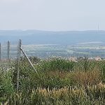20210624_150651-b02256d8