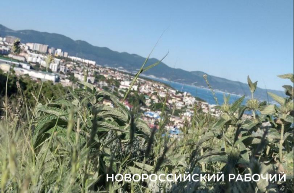 Советы дня на 14 октября: о стандартизации, Винни-Пухе и яйцах